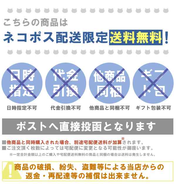 ネコポス便 送料無料 スマートチャック付き 収納袋 ジップバック