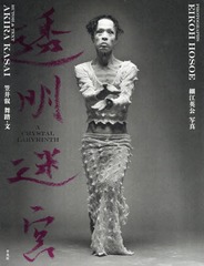 書籍]/THINGS MEIJI 明治写真405撰 KAMIJO COLLECTION/上條真埜