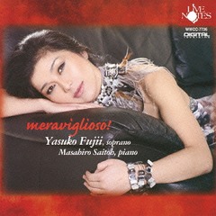送料無料有 Cd 藤井泰子 ソプラノ 斎藤雅広 Pf 藤井泰子 ソプラノ 斎藤雅広 ピアノ なんと素晴らしいことか Wwcc 7736の通販はau Pay マーケット Bigsaleクーポン有 ネオウィング