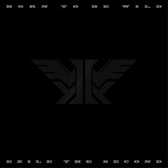 送料無料/[CD]/EXILE THE SECOND/BORN TO BE WILD [CD+3DVD/豪華盤]/RZCD-86289の通販は 7,140円