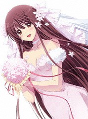 送料無料有/[DVD]/レーカン! 3巻/アニメ/TKBA-5303
