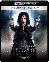 バーン・ノーティス 元スパイの逆襲 フルシーズン コンパクトボックス DVD Amazon.com: バーン・ノーティス 元スパイの逆襲 シーズン1