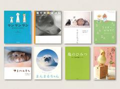 送料無料/[書籍]/かわいい動物の本 8巻セット/藤本雅秋/ほか写真 坂崎千春/ほか文/NEOBK-1471027