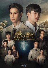 送料無料/[Blu-ray]/愛の香り〜I Feel You Linger In The Air〜 Blu-ray BOX/TVドラマ/EYXF-14582