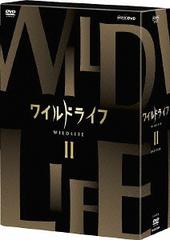 (未使用･未開封品)ワイルドライフ DVD-BOX II DVD]/ワイルドライフ DVD-BOX II/ドキュメンタリー/NSDX-18326