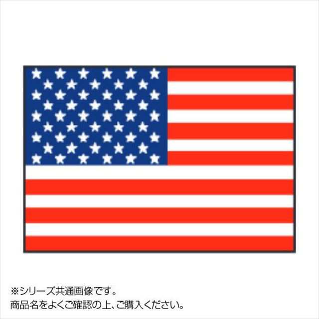 エクスラン外国旗 120×180エクアドル(大)アクリル100%旗 フラッグ FLAG - 2