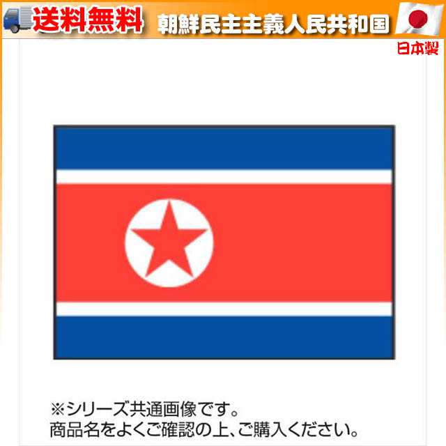 万国旗・世界の国旗大韓民国・国旗(120cm幅 エクスラン) - 3