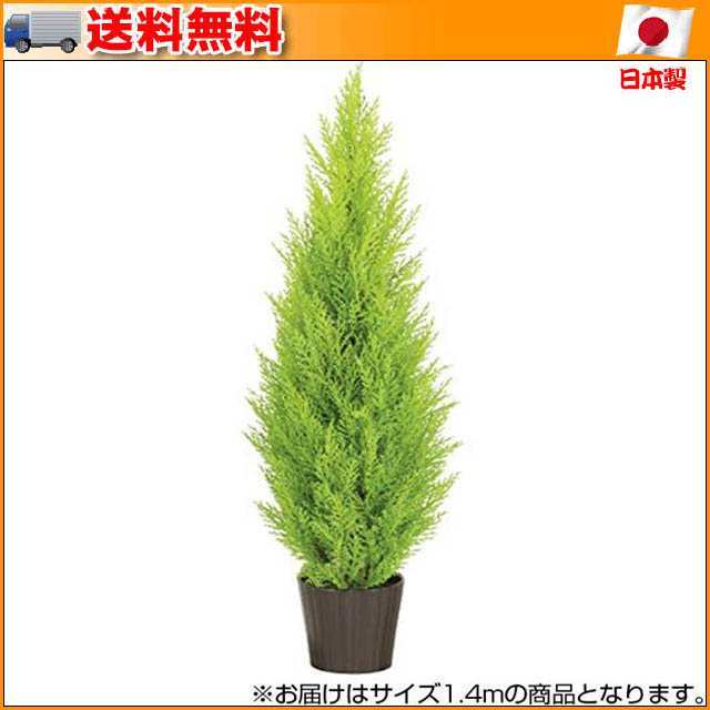 送料無料 光の楽園 人工観葉植物 ゴールドクレスト1 4m 屋外使用可 394e380 68 光触媒加工をしてあります 日本未入荷 入手困難 Www Kaneorthotics Co Nz