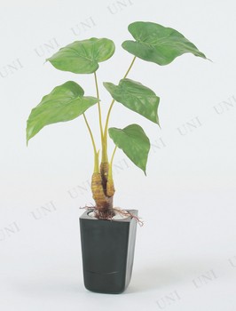 フィロリーフポット 70cm A 人工観葉植物 サトイモ科 フェイクグリーン インテリアグリーンの通販はau Pay マーケット パーティワールド