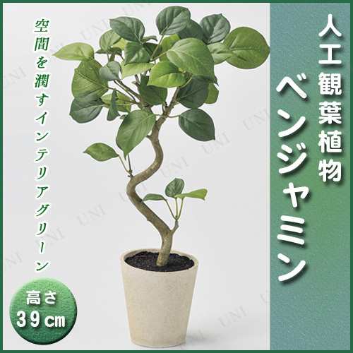 人工観葉植物 ベンジャミンポット 39cm 小さい ミニサイズ ミニ観葉植物 フェイクグ リーン インテリアグリーンの通販はau Pay マーケット パーティワールド