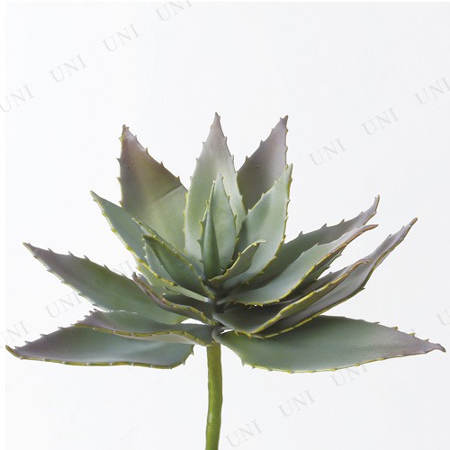人工観葉植物 アガベ 21cm インテリア フェイク 小さい ミニサイズ ミニ観葉植物の通販はau Pay マーケット パーティワールド