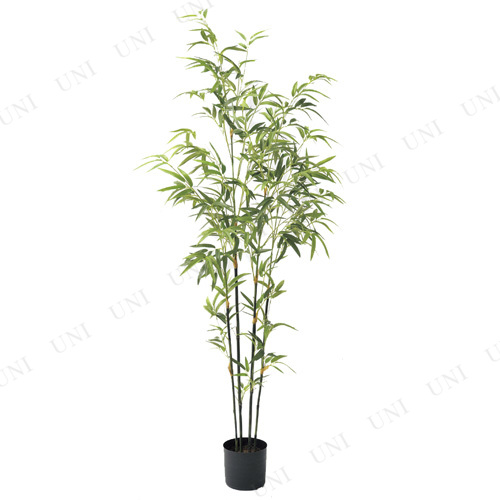 取寄品 人工観葉植物 バンブーポット 1cm 店舗装飾品 飾り デコレーション ディスプレイ Pop 販促品 七夕 たなばた 竹 笹 フェイの通販はau Pay マーケット パーティワールド