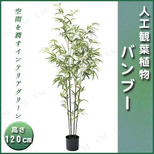 人工観葉植物 バンブーポット 1cm 店舗装飾品 飾り デコレーション ディスプレイ Pop 販促品 七夕 たなばた 竹 笹 フェイクグリーン の通販はau Pay マーケット パーティワールド