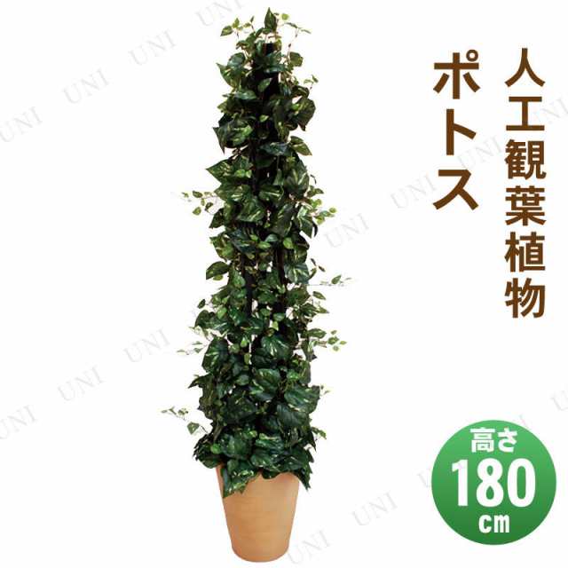 【取寄品】 フェイクグリーン 光触媒 ポトス 180cm 【 消臭 人工観葉植物 インテリアグリーン 抗菌 】