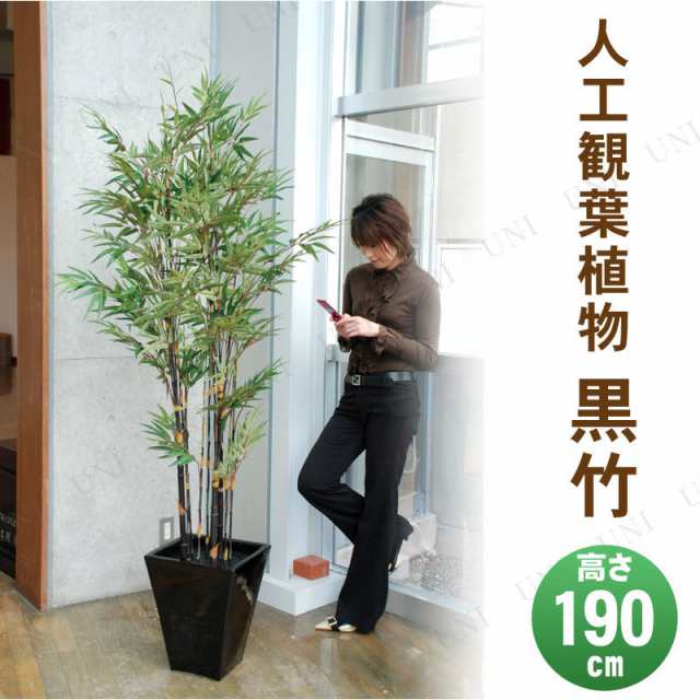 【取寄品】 フェイクグリーン 光触媒 黒竹 190cm 【 七夕 人工観葉植物 POP デコレーション インテリアグリーン 消臭 抗菌 販促品 笹 た