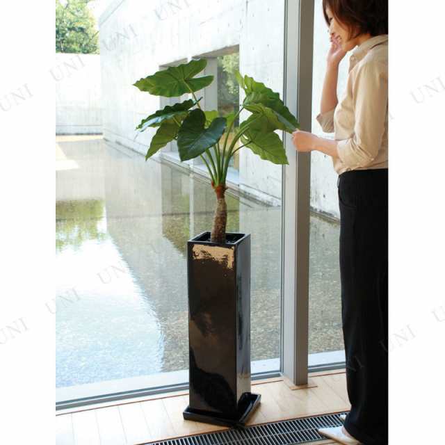 取寄品】 フェイクグリーン 光触媒 クワズイモ 138cm 【 人工観葉植物