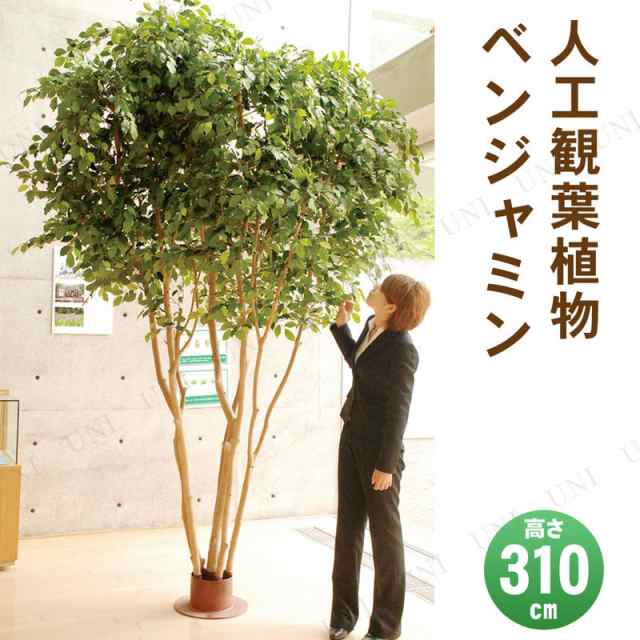 フェイクグリーン 光触媒 ベンジャミン 310cm 【 人工観葉植物 大きい