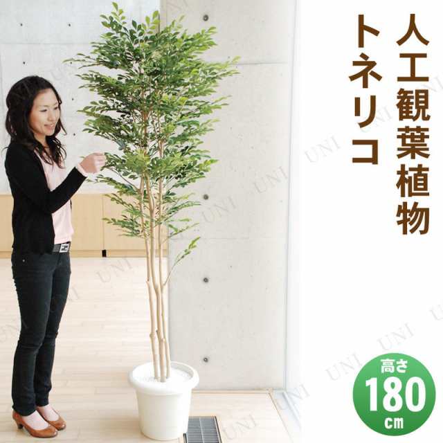 【取寄品】 フェイクグリーン 光触媒 トネリコ 180cm 【 消臭 抗菌 人工観葉植物 インテリアグリーン 】