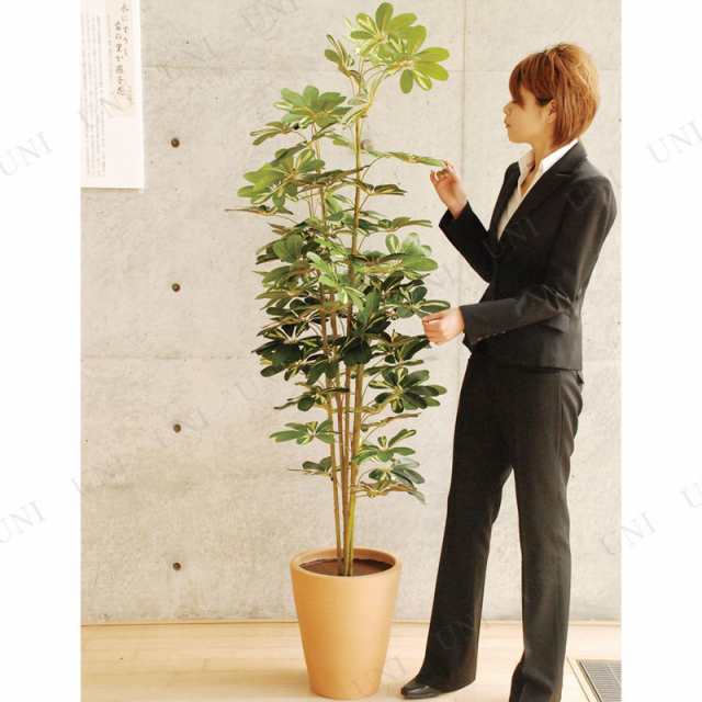 【取寄品】 フェイクグリーン 光触媒 カポック 180cm 【 インテリアグリーン 消臭 抗菌 人工観葉植物 】｜au PAY マーケット