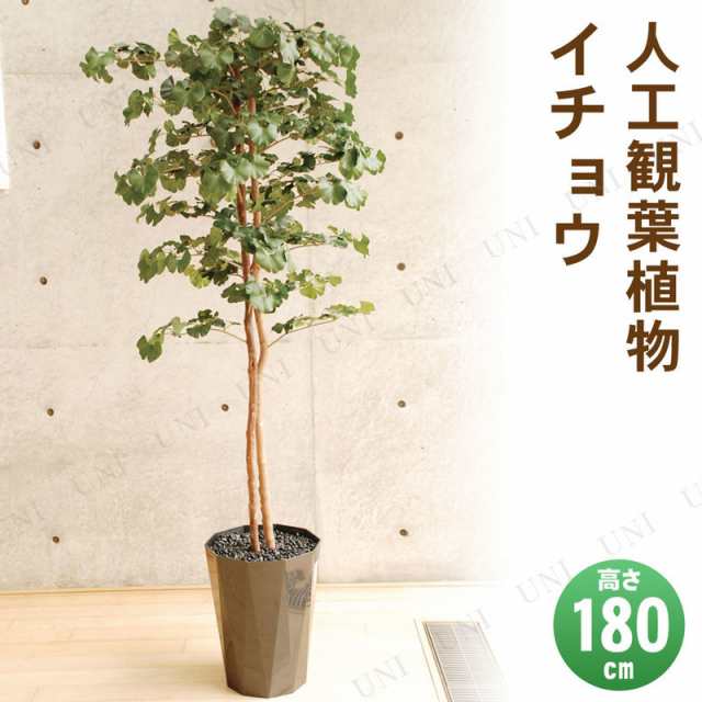 【取寄品】 フェイクグリーン 光触媒 イチョウ 180cm 【 人工観葉植物 消臭 抗菌 インテリアグリーン 】