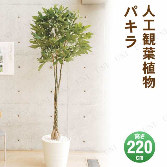 【取寄品】 フェイクグリーン 光触媒 パキラ 220cm 【 抗菌 大きい 人工観葉植物 インテリアグリーン 消臭 】｜au PAY マーケット