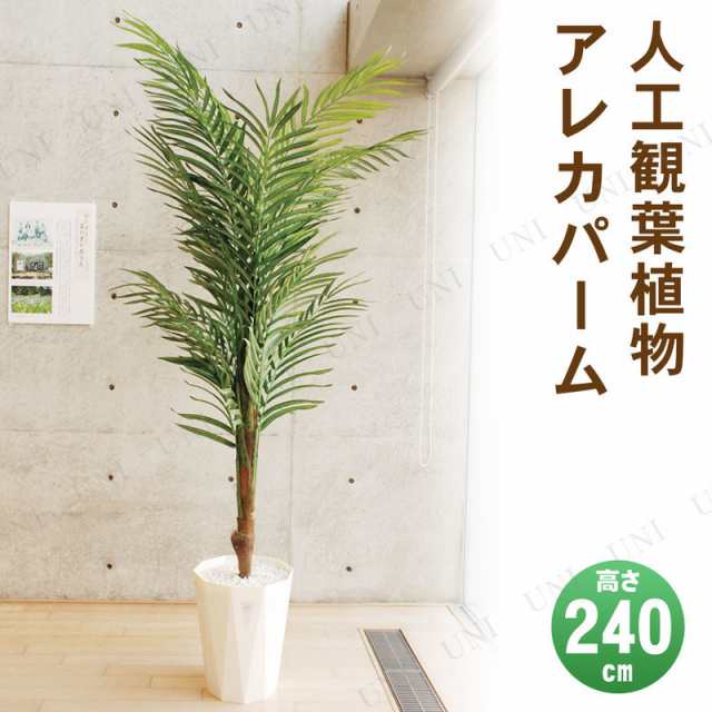 取寄品】 フェイクグリーン 光触媒 アレカパーム 240cm 【 消臭 椰子 ヤシの木 抗菌 人工観葉植物 インテリアグリーン 大きい 】の通販はau  PAY マーケット - パーティワールド | au PAY マーケット－通販サイト