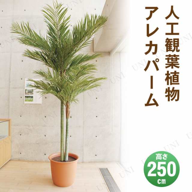 フェイクグリーン 光触媒 アレカパーム 250cm 【 ヤシの木 大きい 椰子