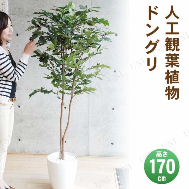 取寄品 フェイクグリーン 光触媒 ドングリ 170cm 人工観葉植物 果樹木 インテリアグリーン 消臭 抗菌の通販はau Pay マーケット パーティワールド