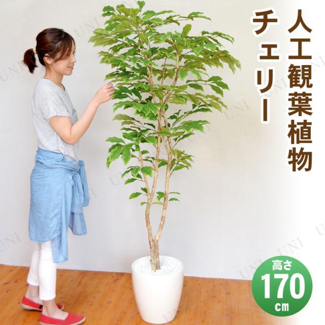 【取寄品】 フェイクグリーン 光触媒 チェリー 170cm 【 人工観葉植物 抗菌 インテリアグリーン 果樹木 消臭 】の通販は