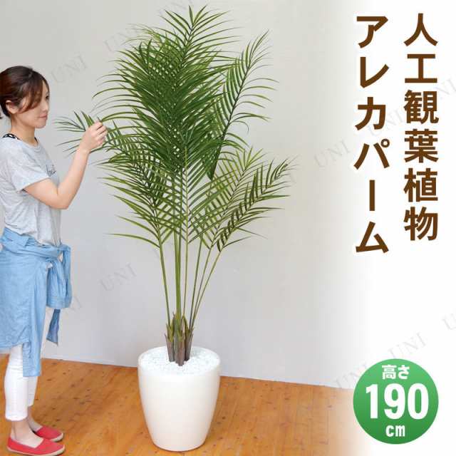 取寄品】 フェイクグリーン 光触媒 アレカパーム 190cm 【 抗菌 人工観葉植物 ヤシの木 インテリアグリーン 消臭 椰子 】の通販はau PAY  マーケット - パーティワールド | au PAY マーケット－通販サイト