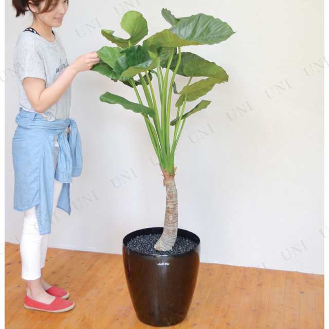 【取寄品】 フェイクグリーン 光触媒 クワズイモ 145cm 【 サトイモ科 インテリアグリーン 人工観葉植物 】｜au PAY マーケット