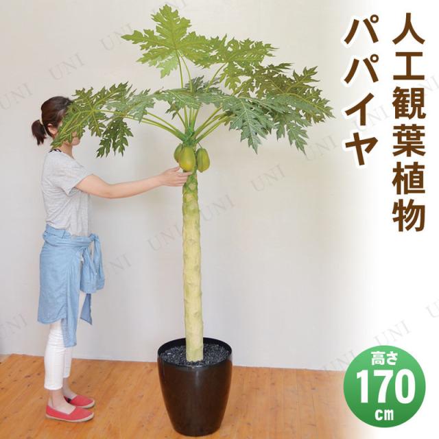 【取寄品】 フェイクグリーン 光触媒 パパイヤ 170cm 【 消臭 果樹木 人工観葉植物 インテリアグリーン 抗菌 】の通販は