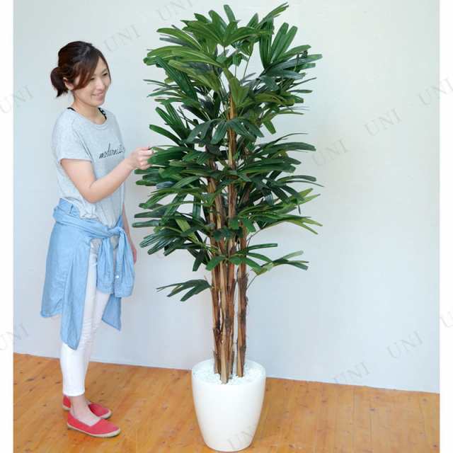 取寄品 フェイクグリーン 光触媒 ラピスパーム 170cm 人工観葉植物 ヤシの木 椰子 インテリアグリーン 消臭 抗菌の通販はau Pay マーケット パーティワールド