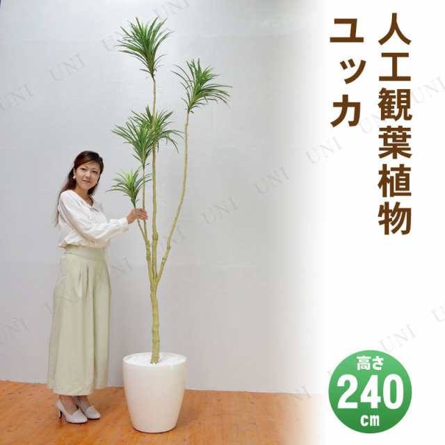 【取寄品】 フェイクグリーン 光触媒 ユッカ 240cm 【 インテリアグリーン 大きい 消臭 抗菌 人工観葉植物 】