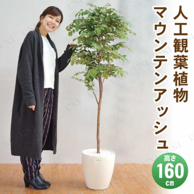 取寄品】 フェイクグリーン 光触媒 マウンテンアッシュ 160cm 【 抗菌