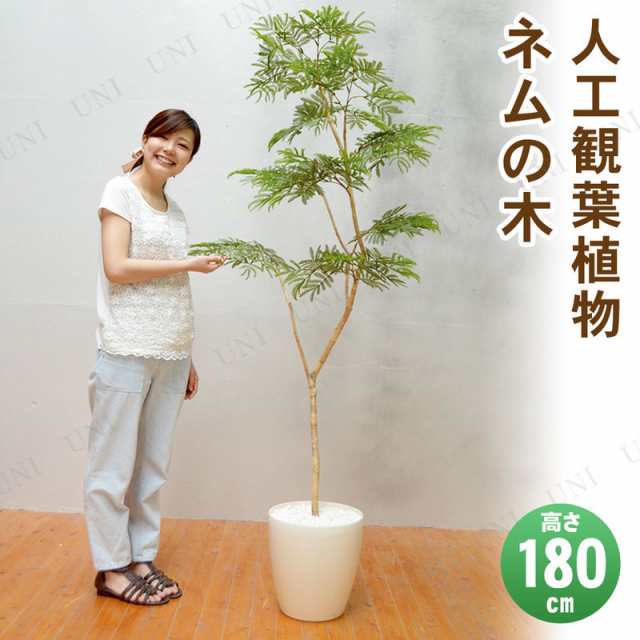 【取寄品】 フェイクグリーン 光触媒 ネムの木 180cm 【 抗菌 人工観葉植物 消臭 インテリアグリーン 】