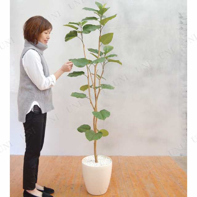 観葉植物 ウンベラータ180cm フェイクグリーン - 植物/観葉植物