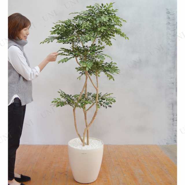 光触媒 人工観葉植物 ウォールグリーン フェイク フラワー トネリコ182 ...