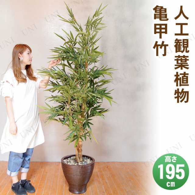 【取寄品】 フェイクグリーン 光触媒 亀甲竹 195cm 【 抗菌 ディスプレイ たなばた 人工観葉植物 七夕 消臭 POP 笹 デコレーション バン