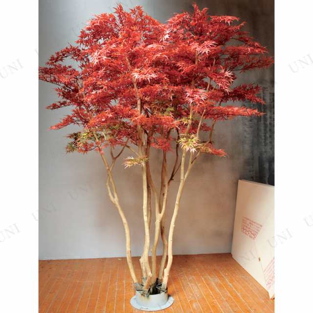 取寄品】 フェイクグリーン 光触媒 モミジ 230cm 【 抗菌 人工観葉植物 ...