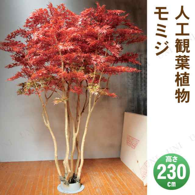 【取寄品】 フェイクグリーン 光触媒 モミジ 230cm 【 インテリアグリーン 抗菌 消臭 人工観葉植物 大きい 】｜au PAY マーケット