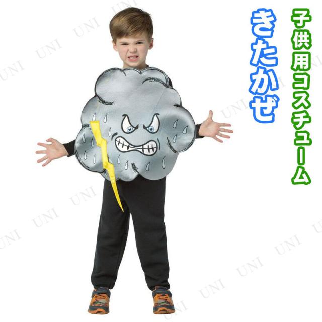 コスプレ 仮装 北風 子供用 コスプレ 衣装 ハロウィン 仮装 子供 コスチューム 子ども用 キッズ こども パーティーグッズ 童話 おとぎ話の通販はau Pay マーケット パーティワールド
