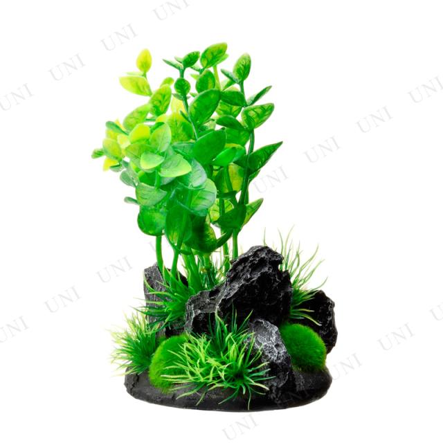 取寄品 ジェックス Gex 癒し水景 アクアキャンバス ロタラ アクアリウム用品 ペット用品 ペットグッズ 水草 水槽用品 水槽用具の通販はau Pay マーケット パーティワールド 取寄品 ジェックス Gex 癒し水景 アクアキャンバス ロタラ アクアリウム用品 ペット用品 ペットグッズ 水草 水槽用品 水槽用具の通販はau Pay マーケット パーティワールド