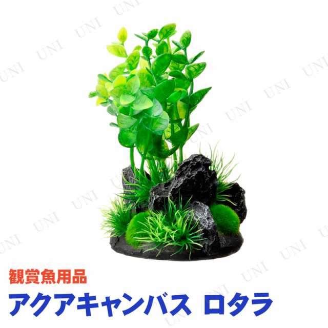 取寄品 ジェックス Gex 癒し水景 アクアキャンバス ロタラ アクアリウム用品 ペット用品 ペットグッズ 水草 水槽用品 水槽用具の通販はau Pay マーケット パーティワールド