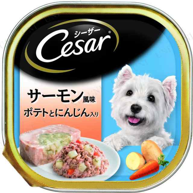 取寄品 シーザー サーモン風味 ポテトとにんじん入り 100g 犬用品 ペット用品 ペットグッズ イヌ ドッグフード 犬の餌 エサ ペットフの通販はau Pay マーケット パーティワールド