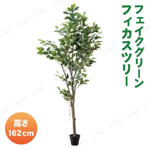 【取寄品】 フェイクグリーン 162cm フィカスツリー 【 人工観葉植物 インテリアグリーン 】の通販は
