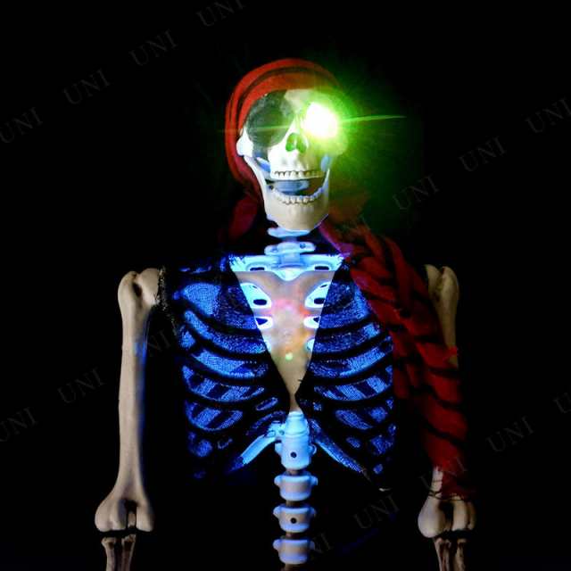 等身大パイレーツドクロ ハロウィンお店のディスプレイに オンライン販促品 等身大パイレーツドクロ ハロウィンお店のディスプレイに! その他