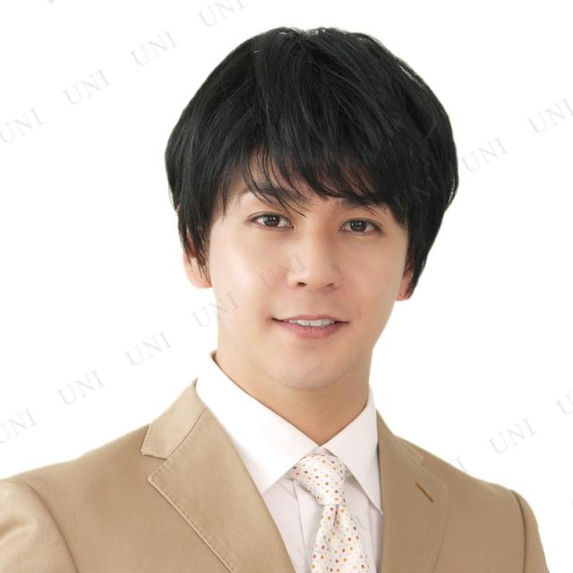 スタイリッシュショート スタンダードブラック 【 メンズ フルウィッグ コスプレ 自然 ファッションウィッグ 男性用 かつら 】