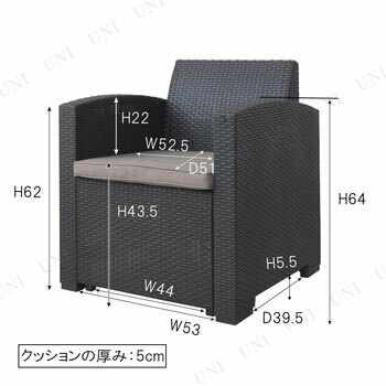 はる 20240707162035_40912.jpeg