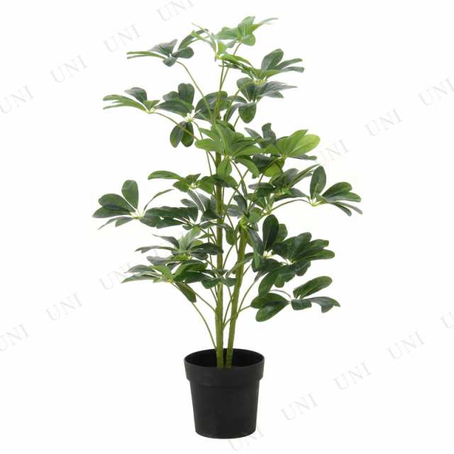 【取寄品】【直送品】 観葉植物 ヤドリフカノキ 216 【 インテリアグリーン フェイクグリーン 人工観葉植物 】の通販は